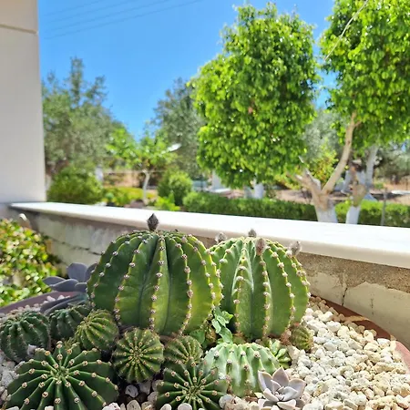 Сasa de vacaciones Tapia *